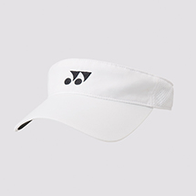 Visor